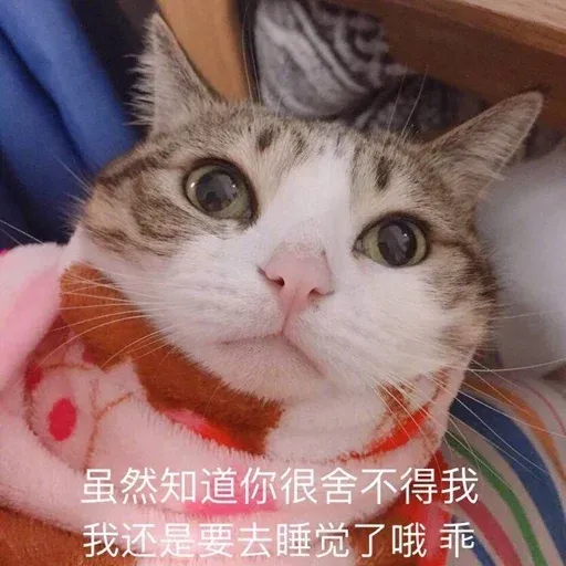 Cutecat4 - Sticker 22