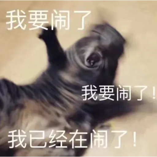 Cutecat4 - Sticker 15