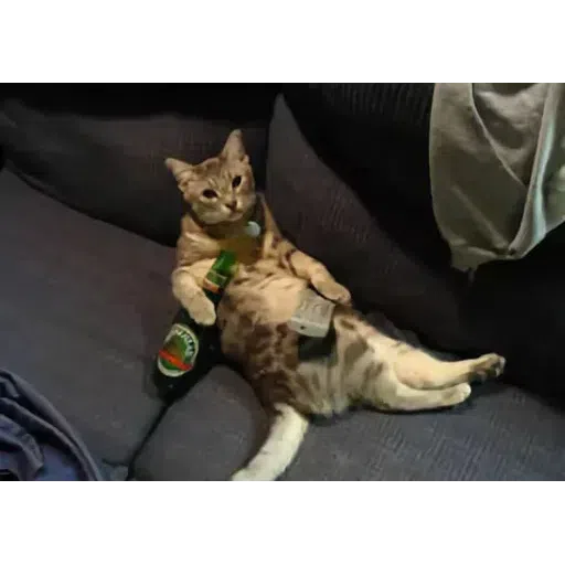 catcat - Sticker 11