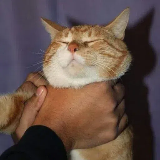 catcat - Sticker 14