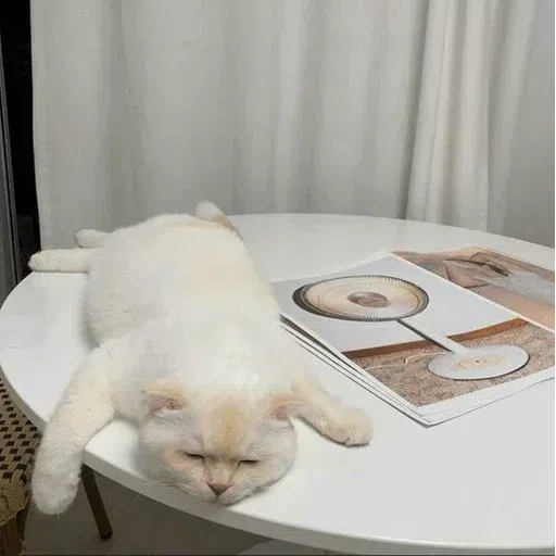 catcat - Sticker 19