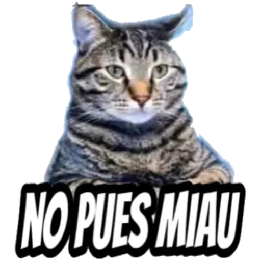 Stickers Pack 11 - Sticker 17