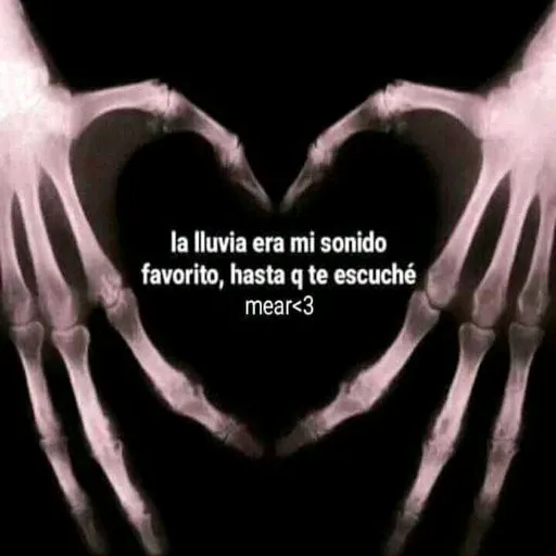 ‏‏‎ - Sticker 23