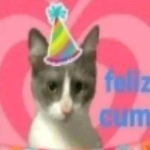 ‏‏‎ - Sticker 25