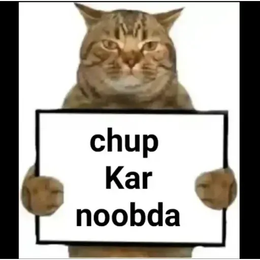 Nay - Sticker 14