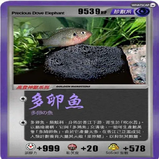 神獸卡 - Sticker 19