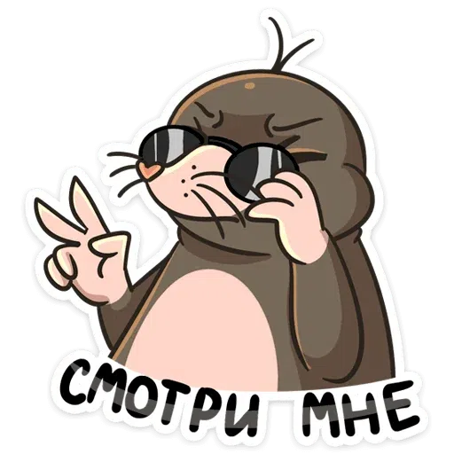 223 - Sticker 13