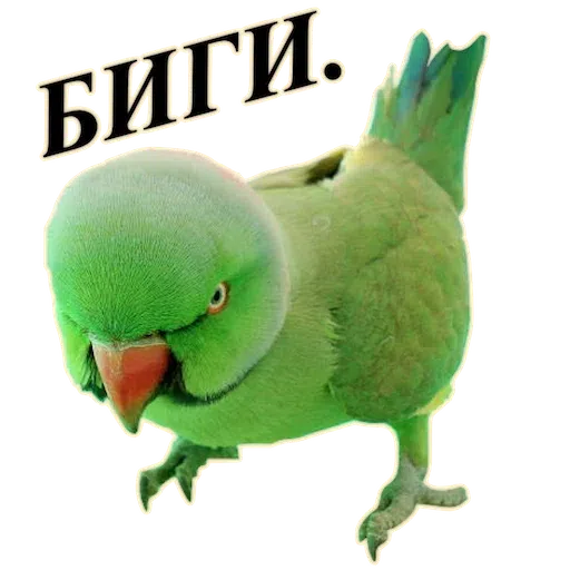 223 - Sticker 14