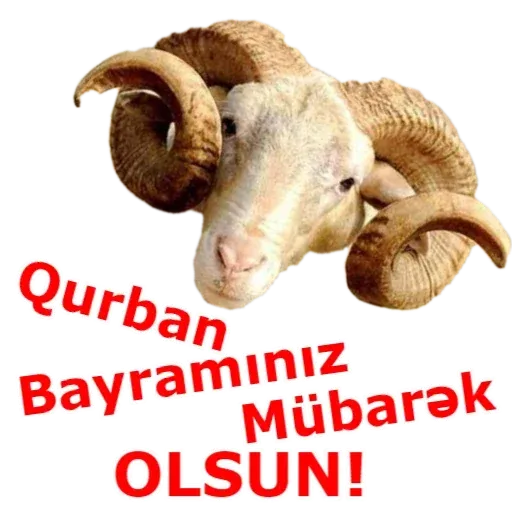 Qurban Bayramı - Sticker 9