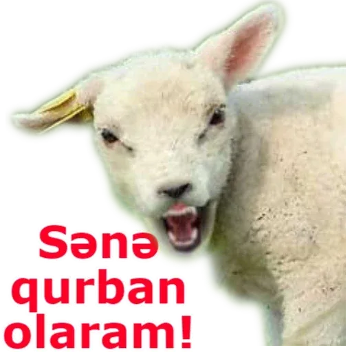 Qurban Bayramı - Sticker 13