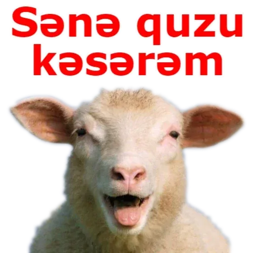 Qurban Bayramı - Sticker 15