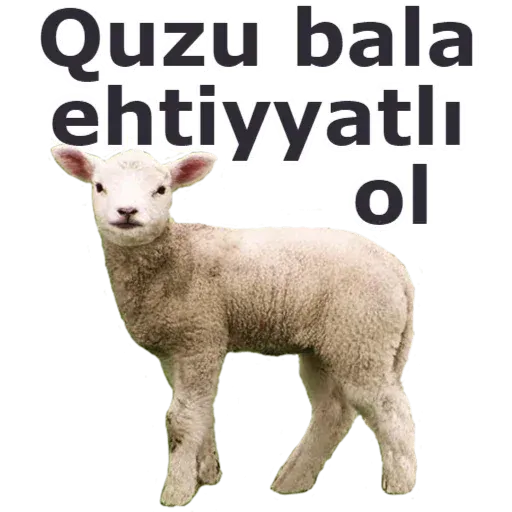 Qurban Bayramı - Sticker 14