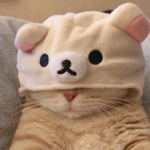 Cat4 - Sticker 23