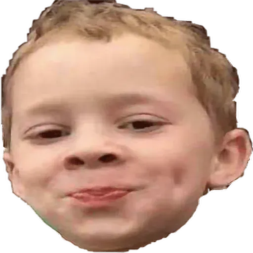 Meme1 - Sticker 12
