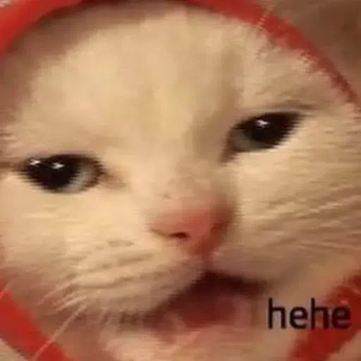 Memes - Sticker 29