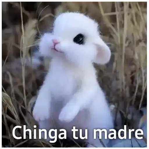 Memes - Sticker 12