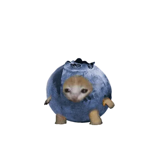 Mixi - Sticker 10
