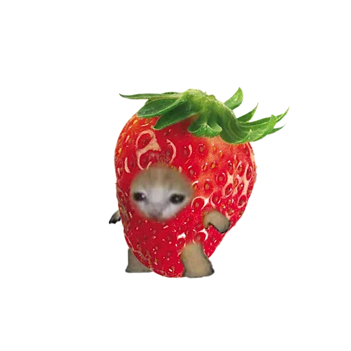 Mixi - Sticker 12