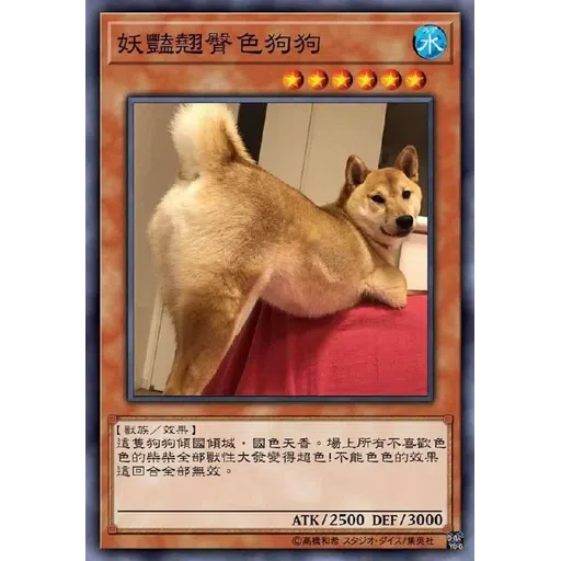 柴柴卡 - Sticker 9