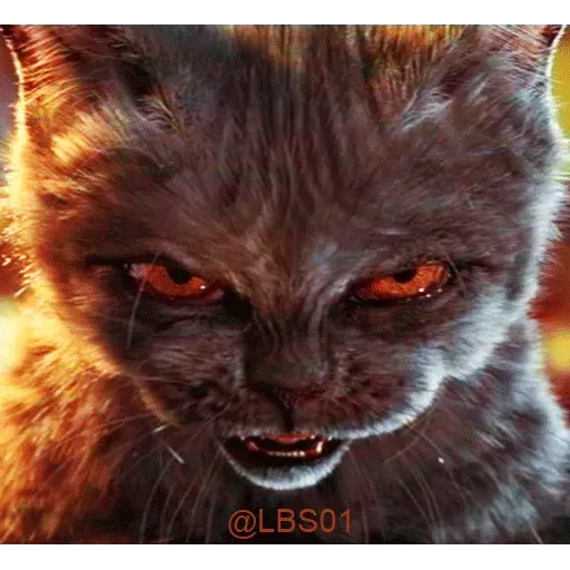 Kocheng 4 - Sticker 22