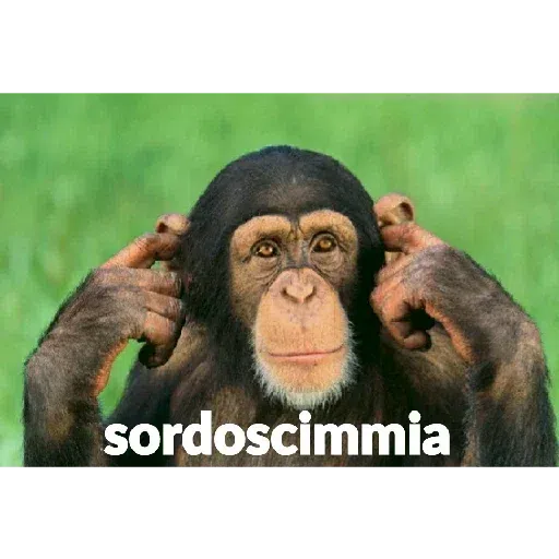 scimie - Sticker 26