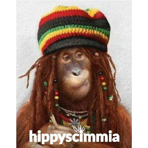 scimie - Sticker 20