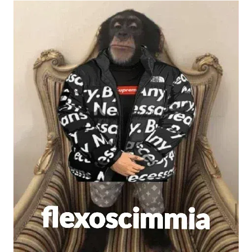 scimie - Sticker 15