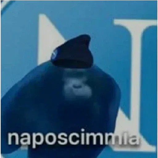 scimie - Sticker 18