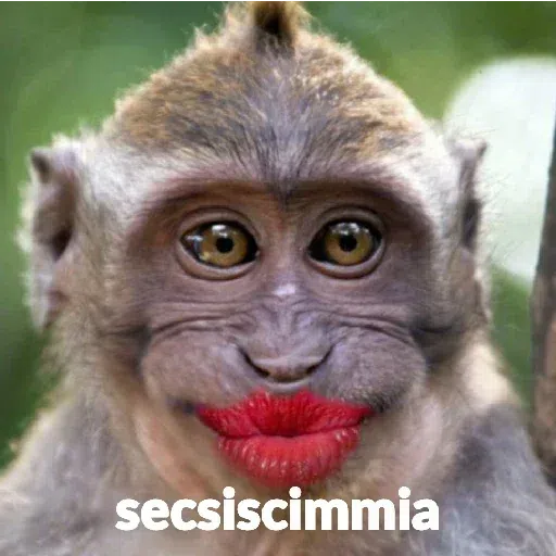 scimie - Sticker 29