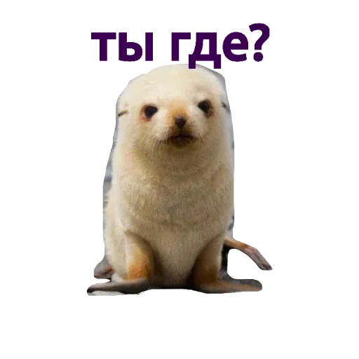 зверьки - Sticker 12