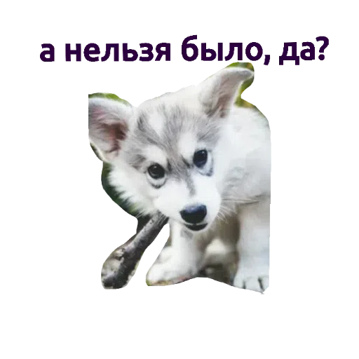 зверьки - Sticker 11