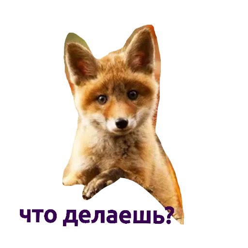 зверьки - Sticker 13
