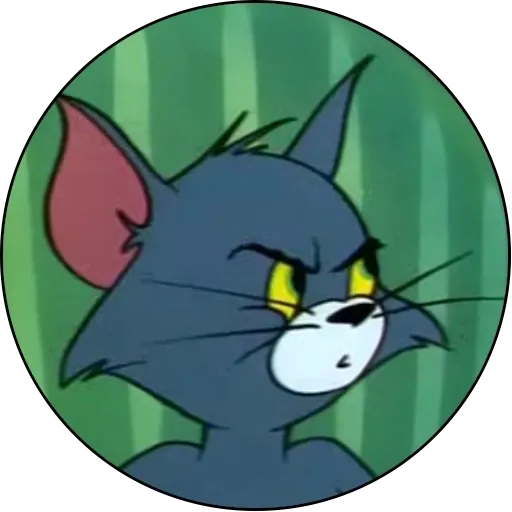 TOM - Sticker 15