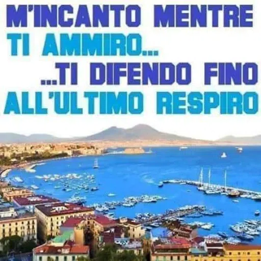 ForzaNapoli - Sticker 28