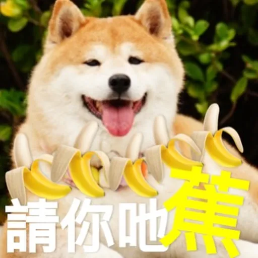 PPP日常 - Sticker