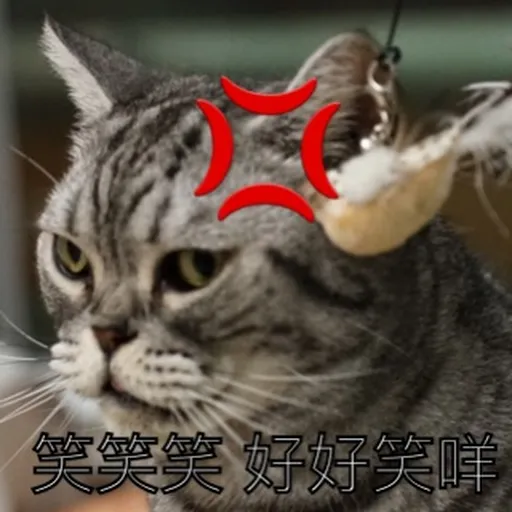 PPP日常 - Sticker 13