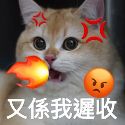 PPP日常 - Sticker