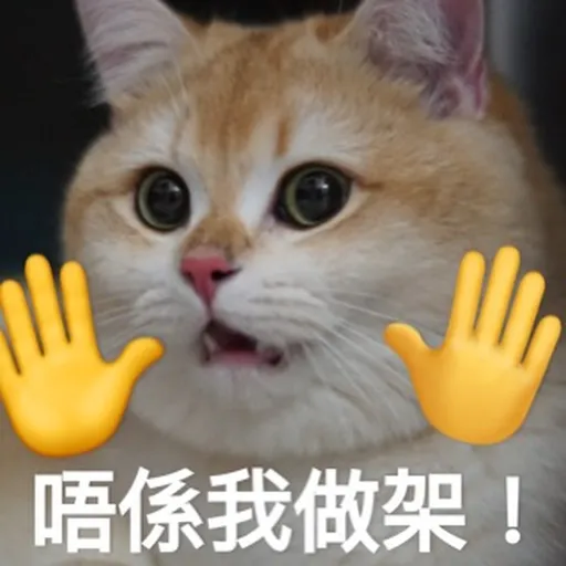 PPP日常 - Sticker 11