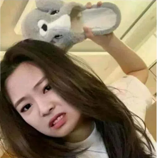 BlackPinkuu - Sticker 29