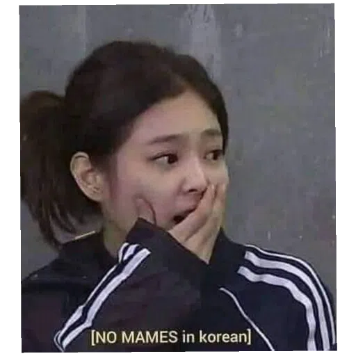 BlackPinkuu - Sticker 9