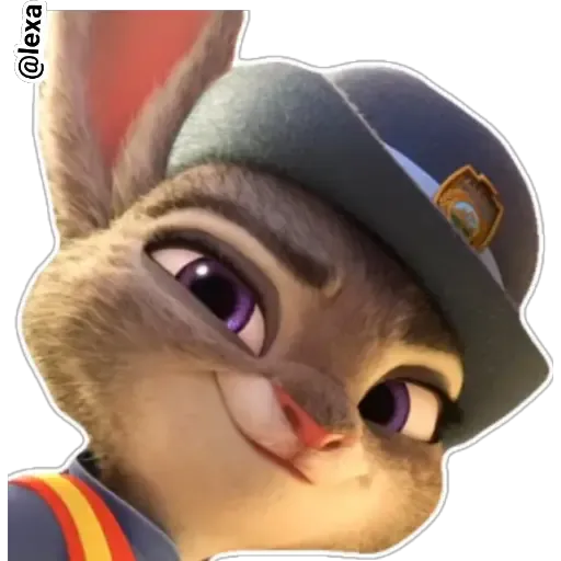 Judy - Sticker 17
