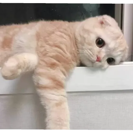 Wholesome - Sticker 20