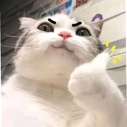 Wholesome - Sticker 21