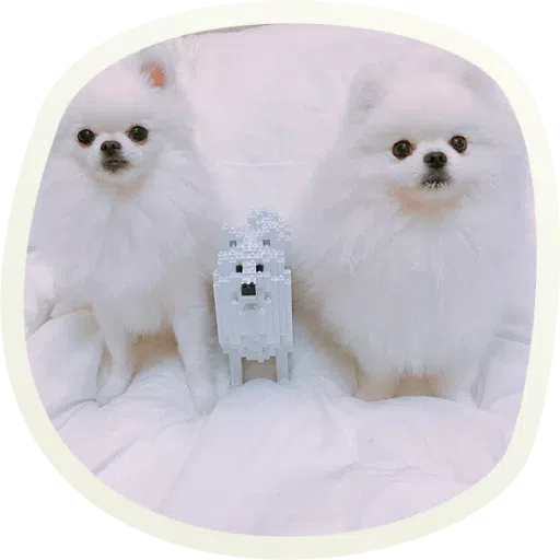 Dogho - Sticker 21