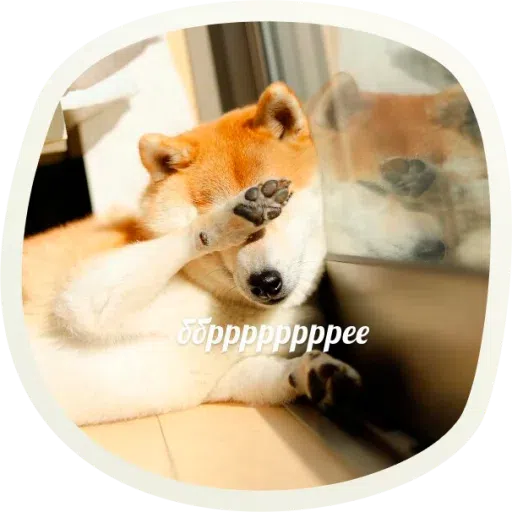 Dogho - Sticker 23