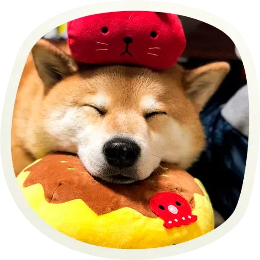 Dogho - Sticker 25