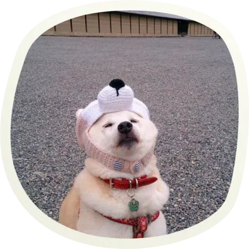 Dogho - Sticker 12