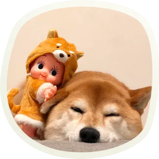 Dogho - Sticker 11
