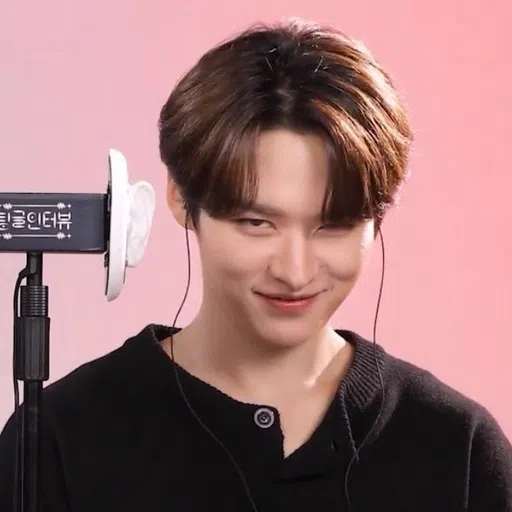 Lee Know is great - Sticker 14