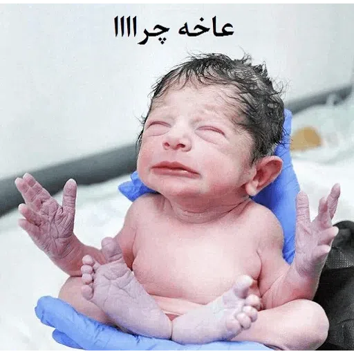 Rohullah_meme - Sticker 12